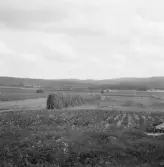 Falun, Vika, Hosjö, Nygården.