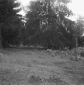 Falun, Mörtsjöbo, Vällgården.