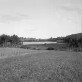 Falun, Kårarvet, Önsbacksdammen.