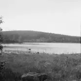 Falun, Kårarvet, dammen, Nästjärn vid St Glamsarvet.