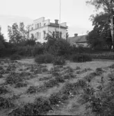 Falun, Karlberg, Britsarvet, Hästberg.