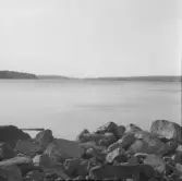 Falun, Runn med kyrktornen i bakgrunden.