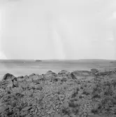 Falun, Runn, Melpa från Fagerön.