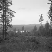 Falun, Källslätten, herbre i Krusbo och Holsjön.