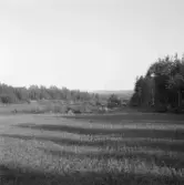 Falun, Slätta. Fr. övre Varggården, Falu gruva & Gruvberget i bakgrunden.