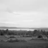 Falun, Gassarvet, Stussarvet, Berg. Varpan från övre Tomsarvet.