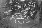 Hällristning Tegneby. Tanum 33:1, L1968:7849