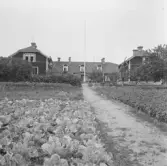 Falun, Vika, Hosjö, Kivnäbben.