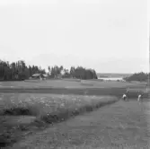 Falun, Vika, Hosjö, Skinnaränge.