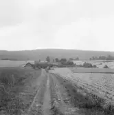 Falun, Vika, Hosjö, Marieberg.