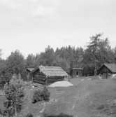 Falun, Vika, Hosjö, Lövet.