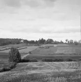 Falun, St Kårarvet fr. s. vägen över dammen i mitten.