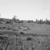 Falun, dammen, Kårarvet, St Glamsarvet.