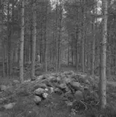 Falun, Kårsgården, Götgården.