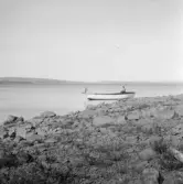 Falun, Runn från St Risön (Hälsingberg, Korsnäs & Mjölnargårdarna).