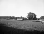 Ekkällan omkring 1910
