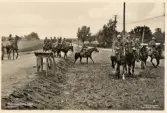 Skånemanövern 1935. 
Kavallerister längs en landsväg.