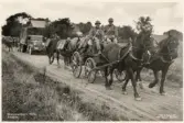 Skånemanövern 1935. 
Trossen på marsch längs en grusväg någonstans i Skåne.