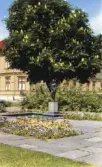 Museiparken med Eric Grates 
