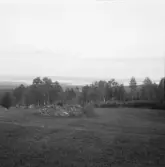 Falun, Runn från Gruvriset.