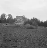 Falun, Gruvriset, Samuelsdal. Ruin av halmspinneri.