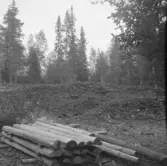 Falun, Jämtbo, Haghed.