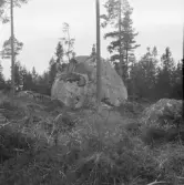 Falun, Jämtbo, Haghed.