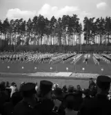 Gymnastiken, 18/5 1939. 
Truppgymnastik på Värendsvallen, fotot taget från läktaren.