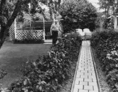 Man i sin trädgård i CV:s kolonistugeområde, 1960-tal