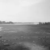 Falun, Vika, Hosjö, Färnviken 1926.