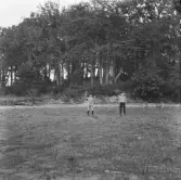 Borlänge, Torsång, Lindön i Ösjön 1914