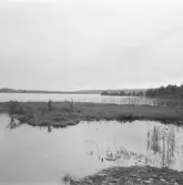 Falun, Mörtsjöbo, Vällgården 1926.
