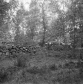 Falun, Kårsgården, Götgården.