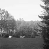 Falun, Karlberg, Britsarvet, Hästberg, damm med bro.