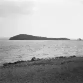 Falun, Runn. Hjärtklack fr. Udden.