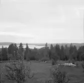 Falun, Tomsarvet, Gassarvet, Stussarvet, Berg, Varpan.