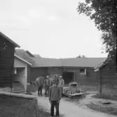 Säter, Gustafs. Mora, Daniels gård i Mora 1926.(Danielsfar, son och sonson)