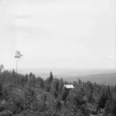 Falun, Tomsarvet, Gassarvet, Stussarvet, Berg. Grycksbodalen från Studsarvsberget.