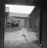 Säter, Gustafs, Mora. Barbros fägård från portlidret.