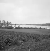 Falun, Främsbacka, Hosjö. 1921-1925. Från L:a Främsbacka, Hosjön, St Näs rakt över och Rottneby längst åt höger.