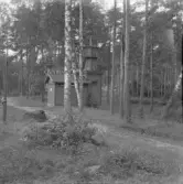 Falun, Finnbo, Myckelmyra.