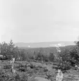 Falun och Runn från Högtäkt.