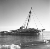 Snöbild av m/s Elin av Vejen som strandade vid Ölmanäs 1952. Ölmanäs krok. Hon var lastad med tegelrör.  Skeppet bärgades aldrig utan låg kvar i många år.