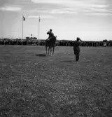 Kamratmötet, I 11. Samling på övningsfältet. Översten, till häst, hälsar en annan officer. I bakgrunden ses en tribun och en del av den stora publiken.