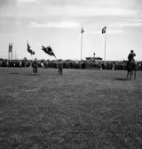 Kamratmötet, I 11. Samling på övningsfältet. Hälsande med fanor framför tribunen. 
Till höger syns översten till häst.