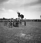 Kamratmötet, I 11. Samling på övningsfältet. Hederskompani med fanor.