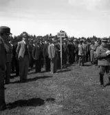 Kamratmötet, I 11. Samling på övningsfältet. Ett antal äldre herrar i kostym och hatt m.m., har ställt upp sig med kompaniskyltar m.m. Man ser också en del herrar i uniform, m/10 och m/23.