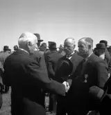 Kamratmötet, I 11. Några äldre, mustaschprydda herrar i kostym och hatt, hälsar 
på varandra.