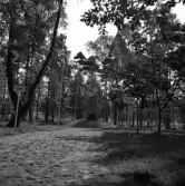 Kamratmötet, I 11. Minnessten i Regementsparken, Växjö.