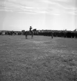 Kamratmötet, I 11. Samling på övningsfältet. Översten hälsar gamla rekryter, från hästryggen.